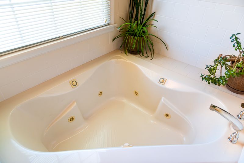 Contemporary Tub Upgrade
